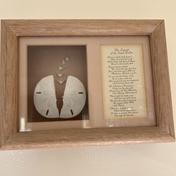 Sand dollar and Shell