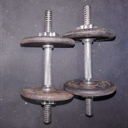 Adjustable Dumbell Set With Weights 
