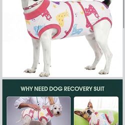 Dog Recovery Suit Spayed