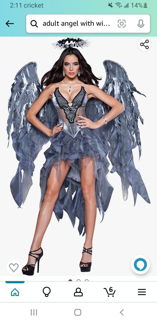 Halloween Dark Angel's  Costume 