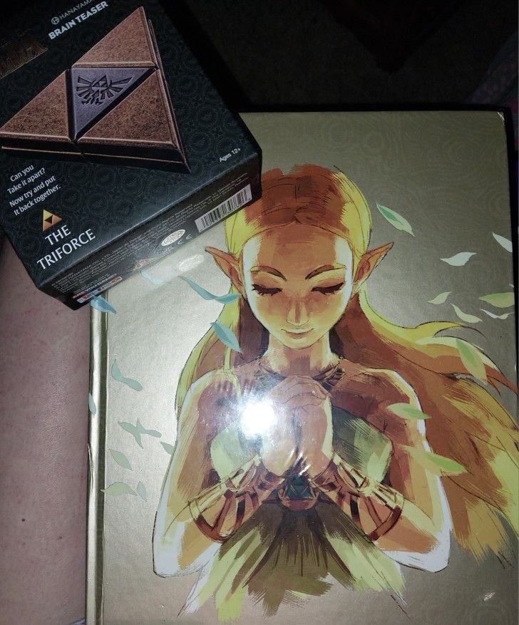 Zelda Book And Brain Teaser