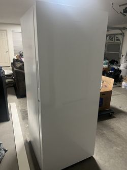 Stand Up Freezer