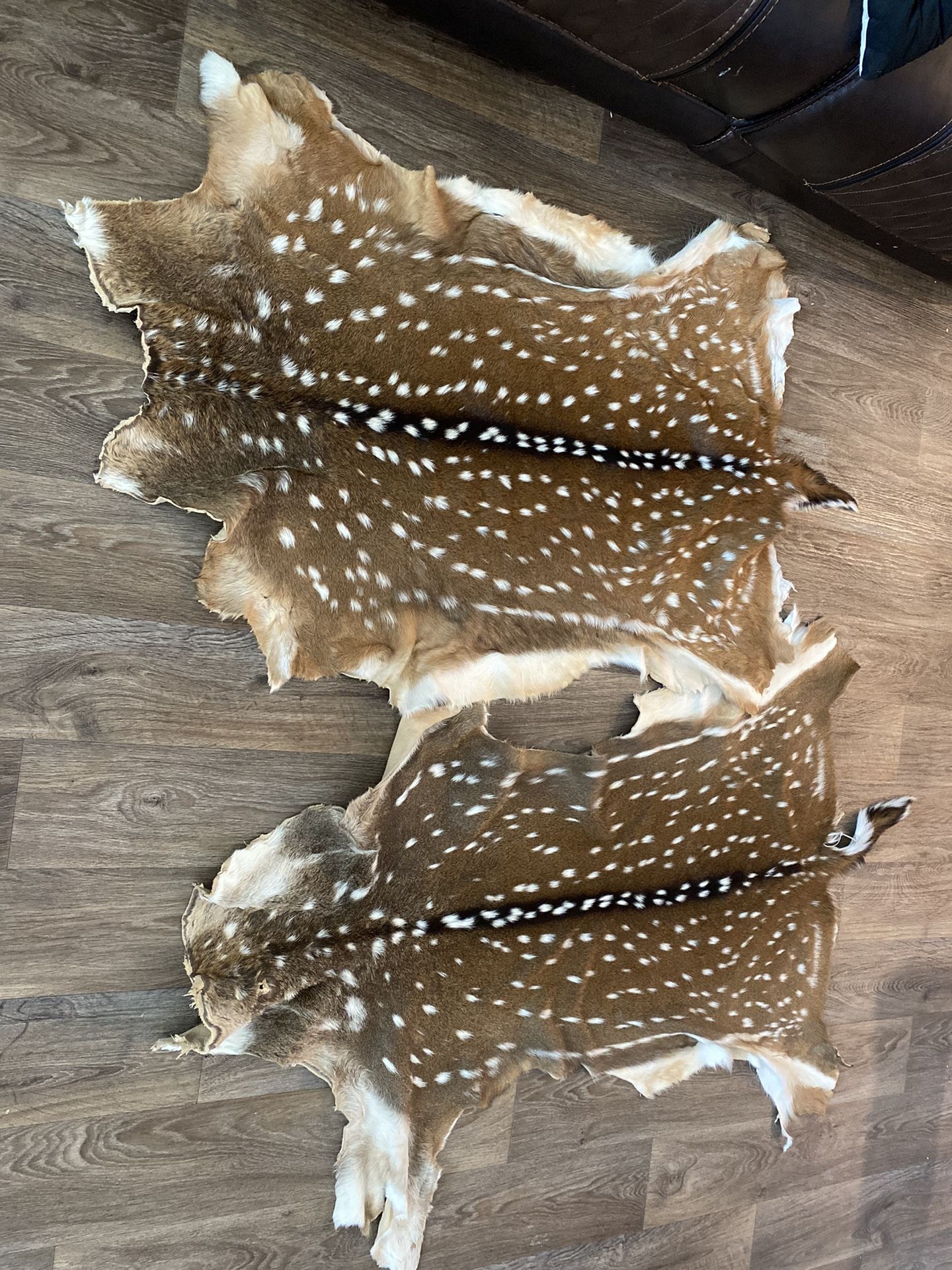 Two Large Newly Tanned Axis Deer Hides for Sale in San Antonio, TX