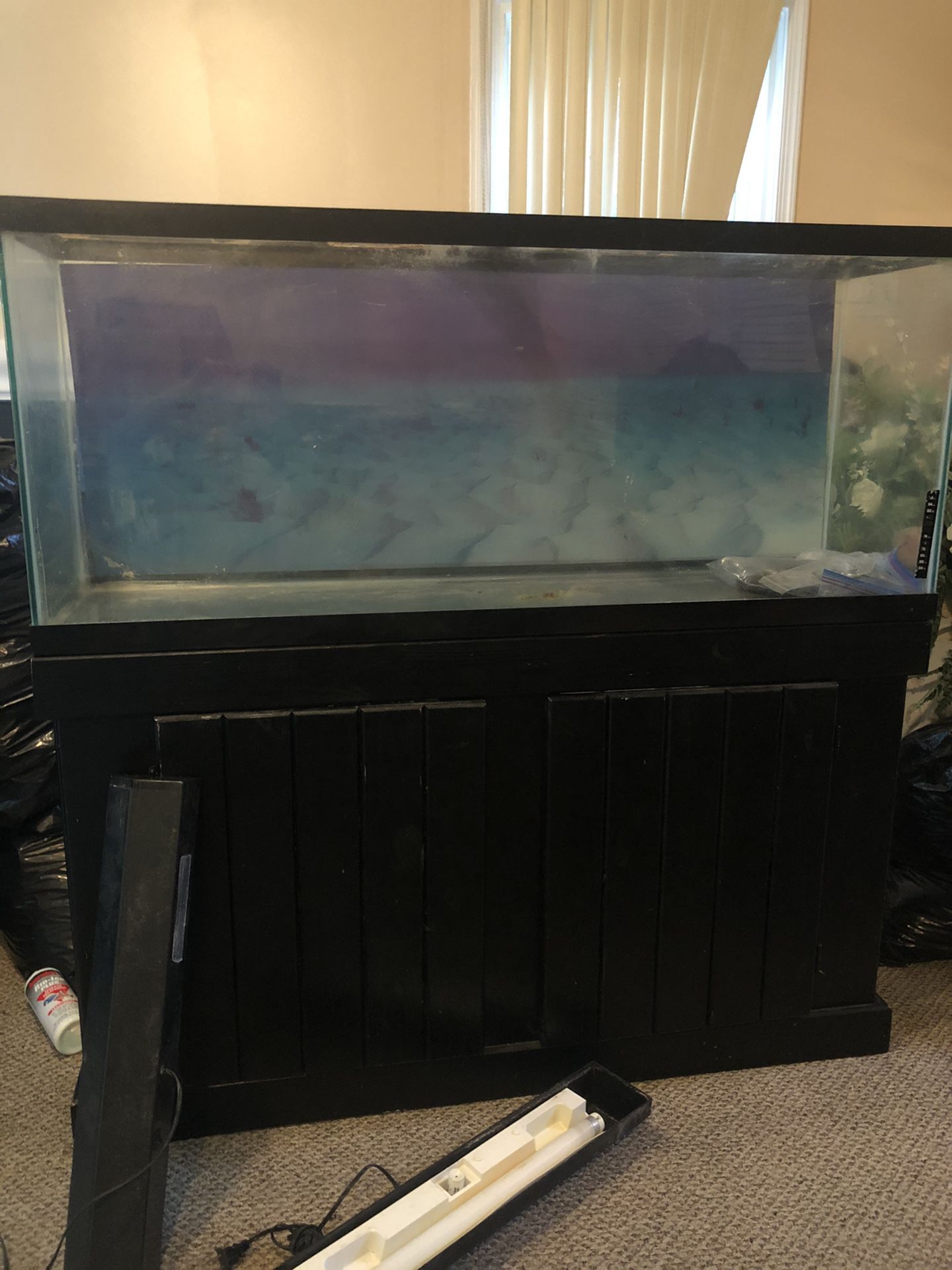 55 gallon fish tank & stand
