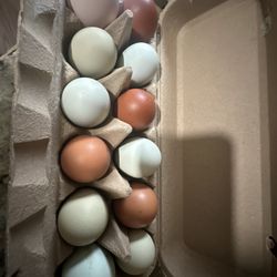   Collected Every Morning 