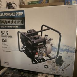 Everbilt 5.5 HP Gas-Powered Utility Pump