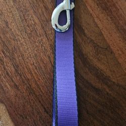 Buckle Down Dog Leash