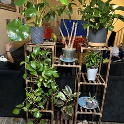 Plant stand