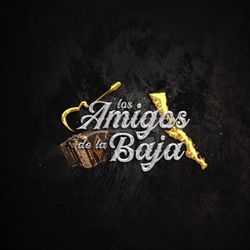 Grupo Disponible 