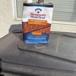 Thompson Water Seal Chestnut Color