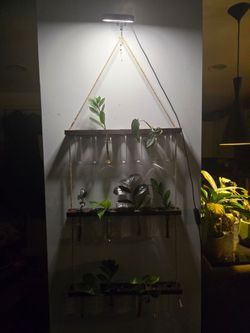 Hanging Propagation Station