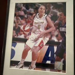 Diana Taurasai WNBA Authentic Seal Framed Photo 10x13”