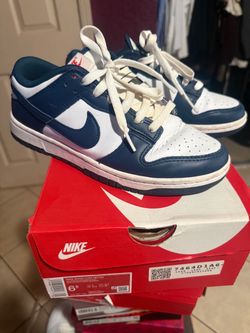Nike dunk low retro valerian blue