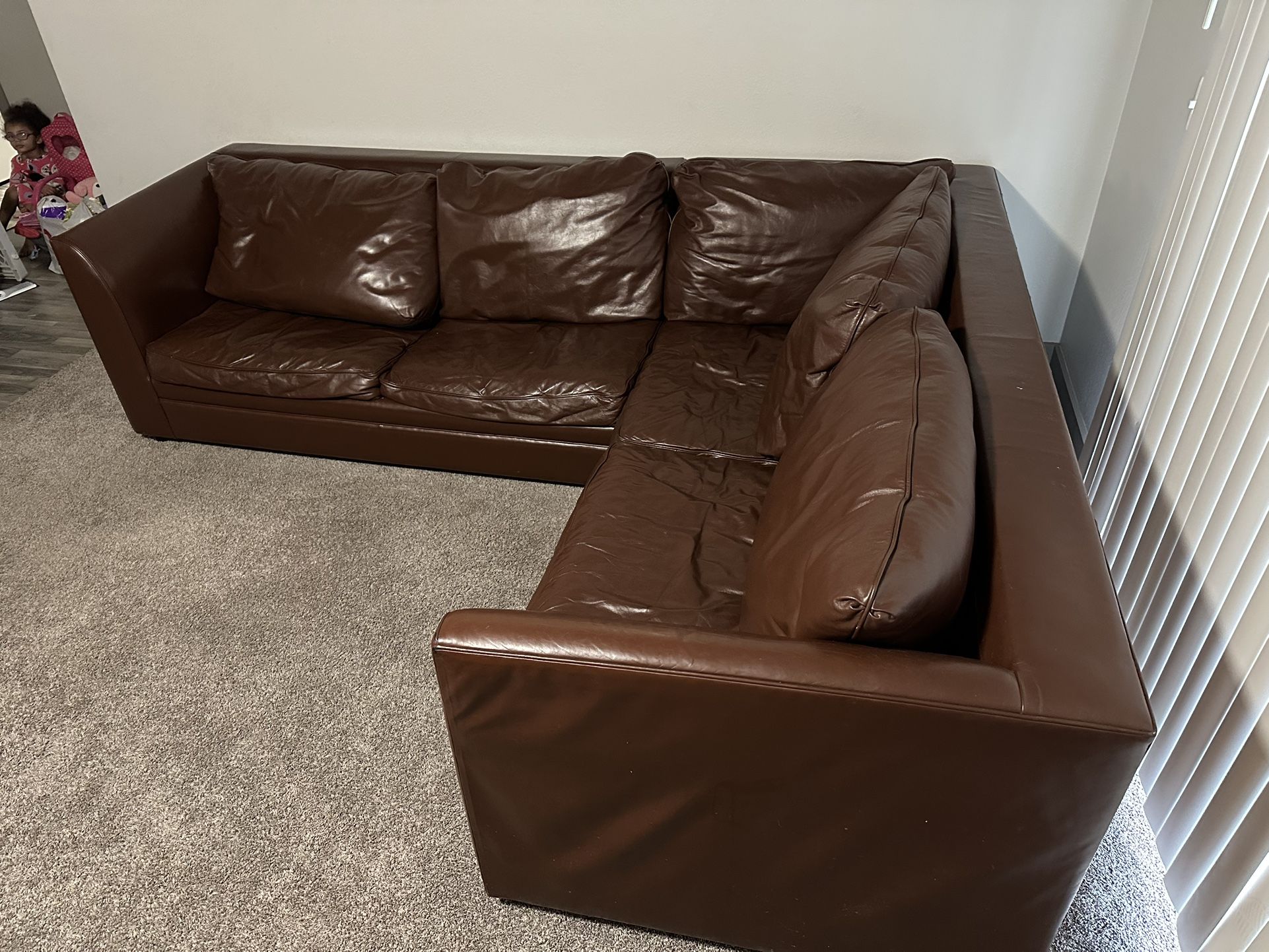 Sealy Pull Out Couch