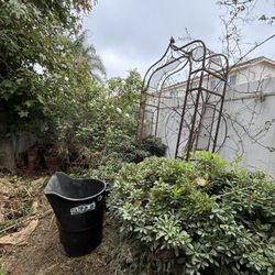 YARD CLEAN UP!
