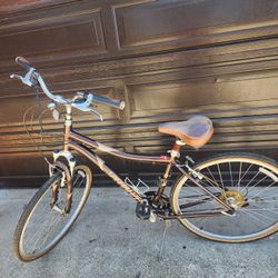 Bike Specialized Crossroads