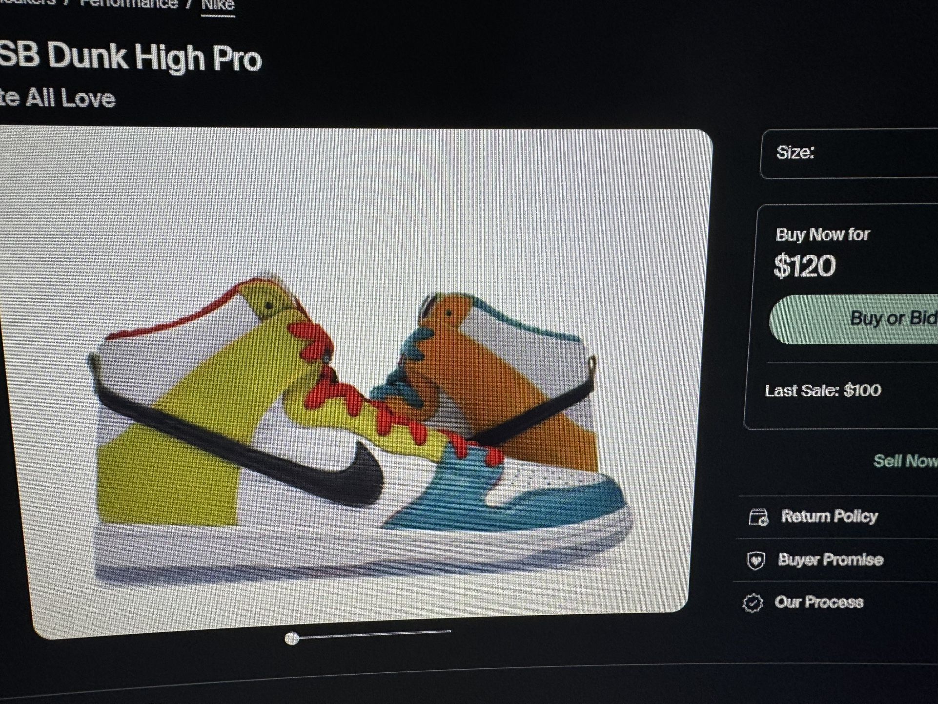 Nike Dunks Pro