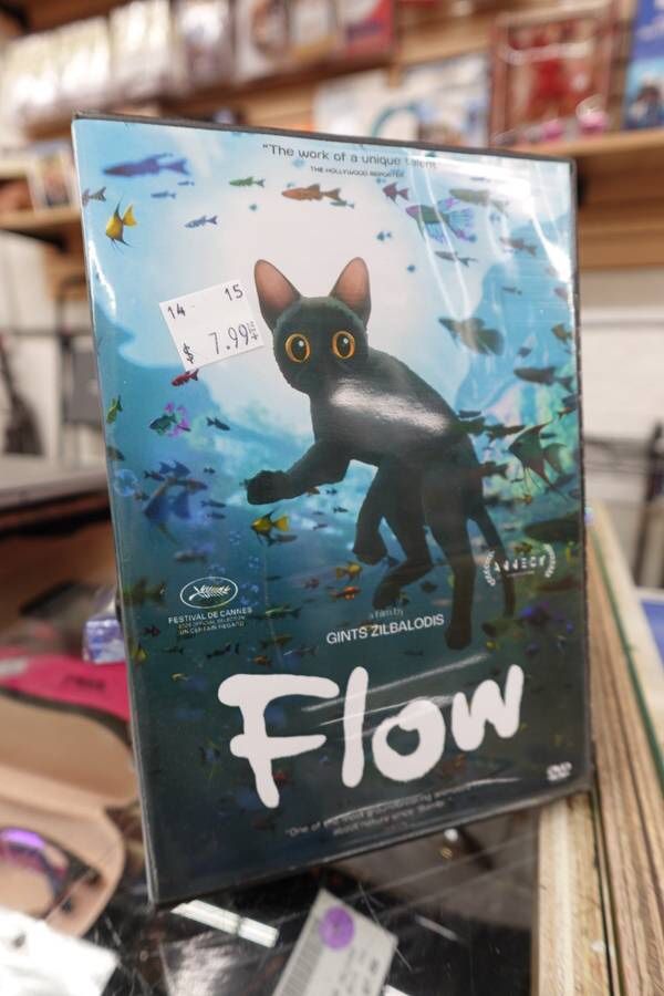 Flow 2024 Animated Movie on DVD