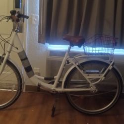 Cruiser Bile