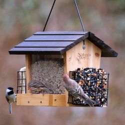 New Nature's Way Bird Products 3qt Cedar Hopper Feeder with Suet Cages 8.5": Attracts Cardinals & Woodpeckers, Easy Clean