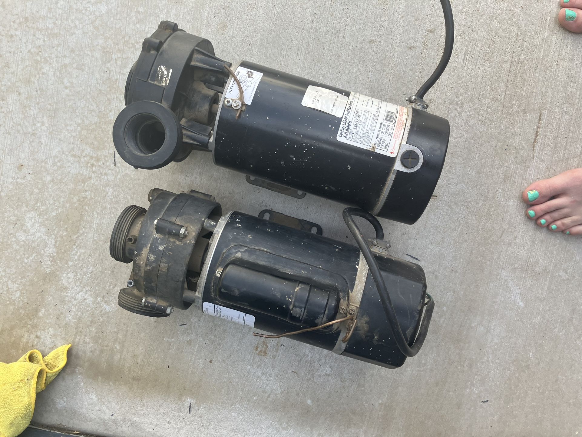 Bn51 Century Pool Pump Motor 2hp 2 Speed