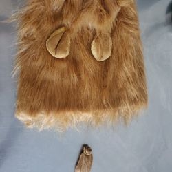 Large Dog Lion Costume 
