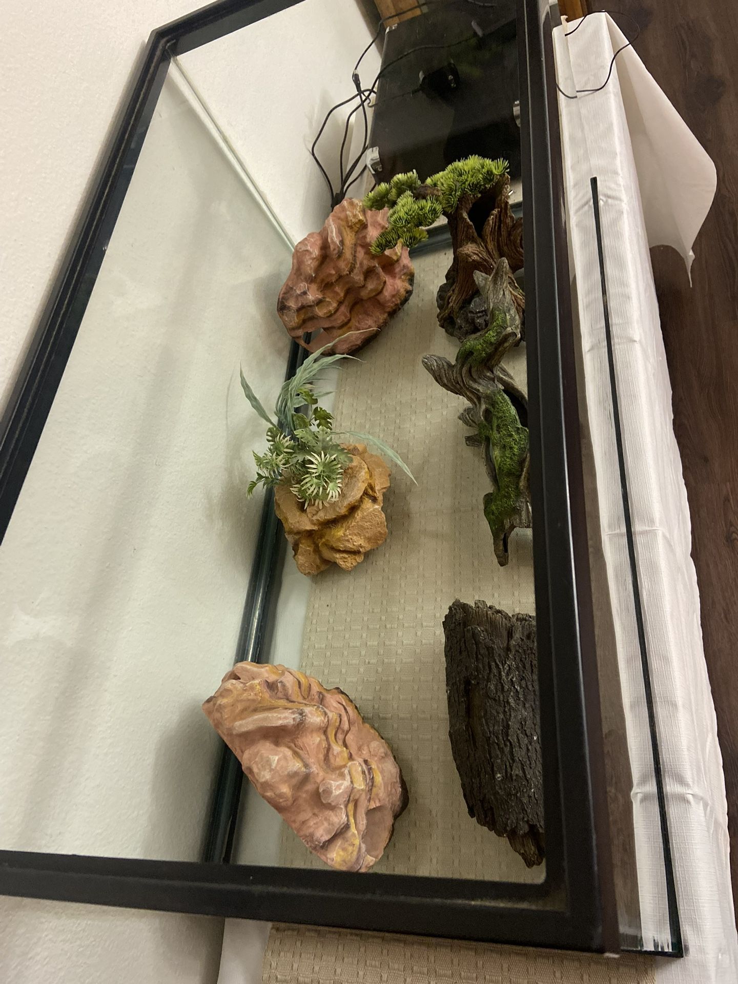 Fish Tank/terrarium