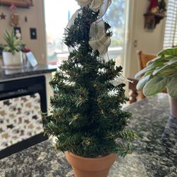 Free Cute Mini Tree