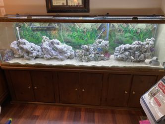 7 foot fish tank aquarium with glass tops, heater, rocks canister filters