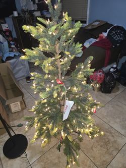 4.5 Aspen Puleo International 