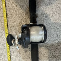 Shimano Torium 20HG with a Magic Salt Rod