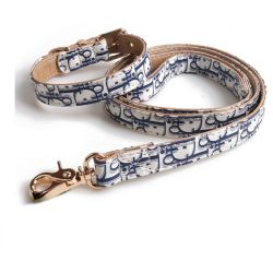 Dior Designer Dog Collar And Leash Set