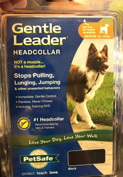 Head collars for dogs