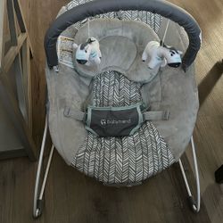 Baby Bouncer