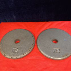 Two 10 lb Weight Plates 