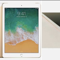 Apple iPad 9.7" (5th Generation) Visit 32GB - WiFi
