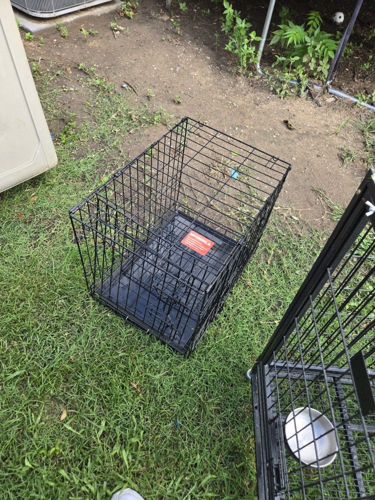 Dog Kennel