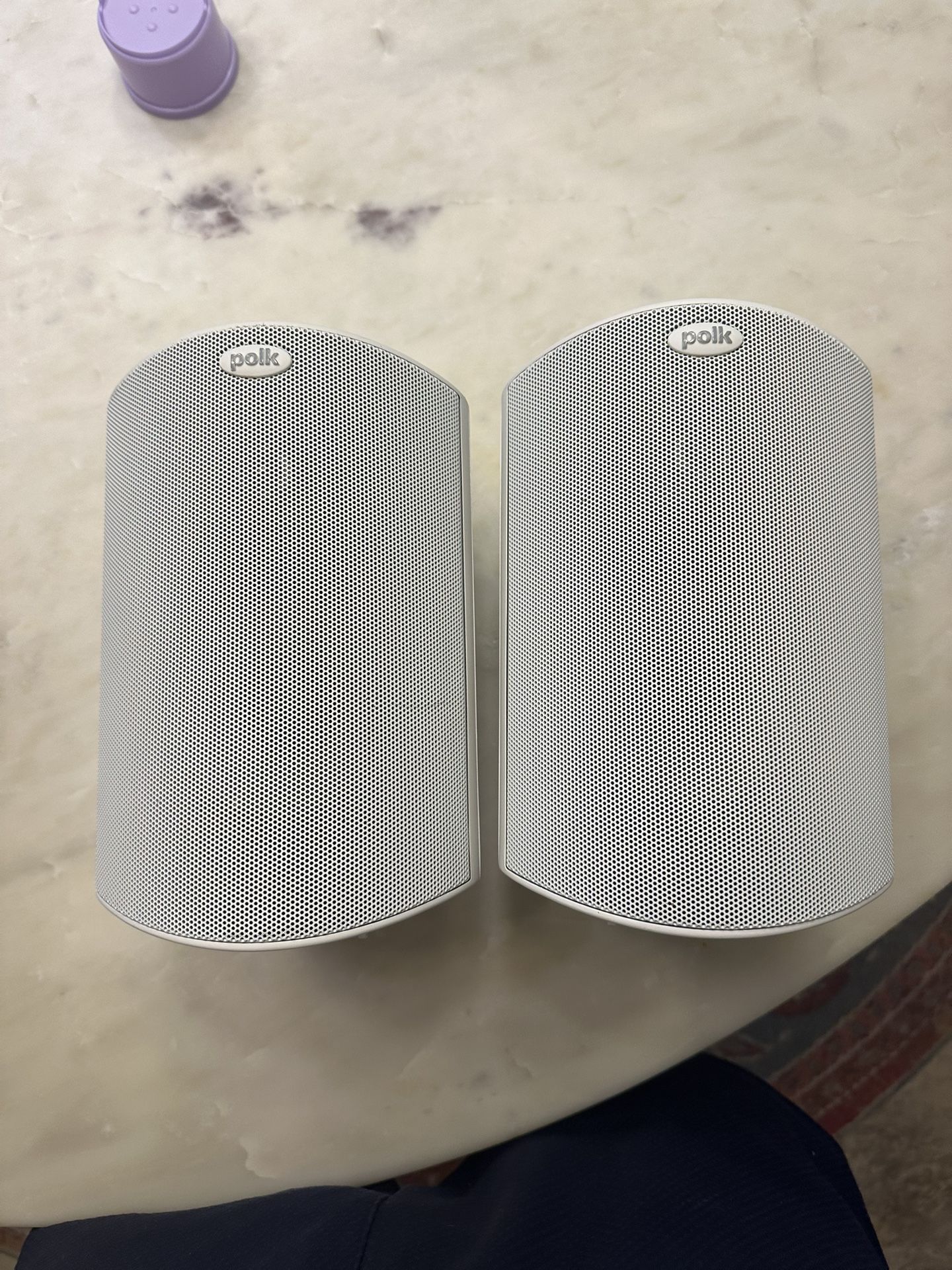 Polk Audio Outdoor Speakers
