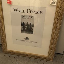 Frame   Gold Toned  16x20