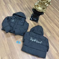 🆕 SDL Female Puffers 