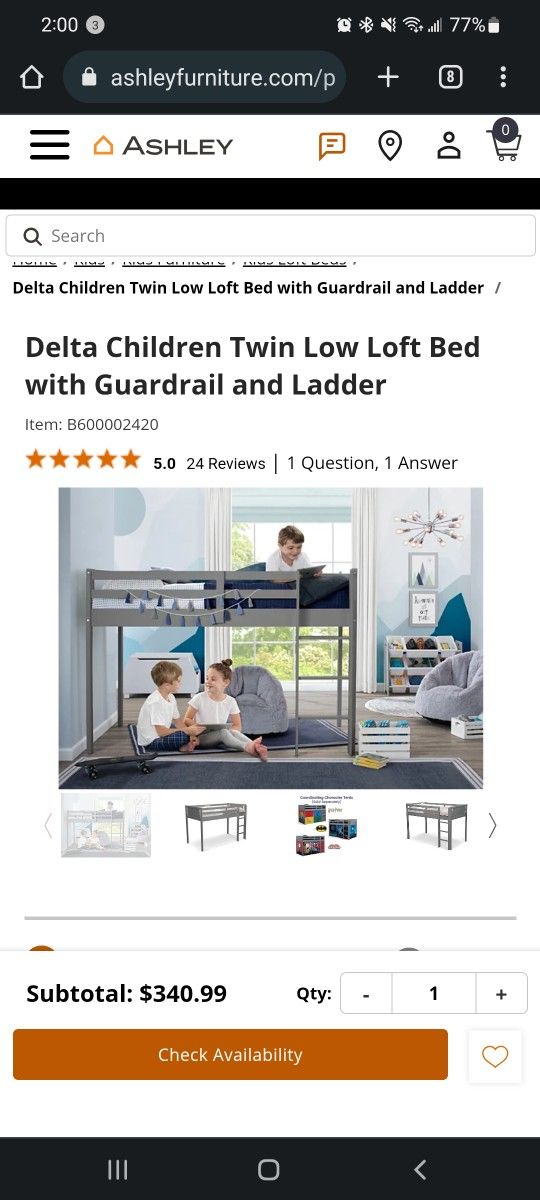 Twin Loft Beds With Tents