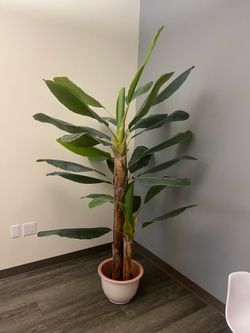 Faux Office Plant