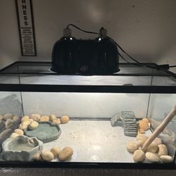 55 Gal Reptile Tank/enclosure, And Accessories