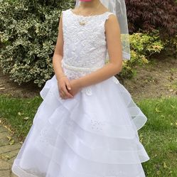 Girls Communion/ Flower Girl Dress, Vail And Shoes