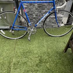 Vintage Schwinn Chicago Made $100
