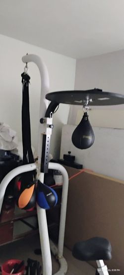 Everlast stand up kickboxing and speed bag