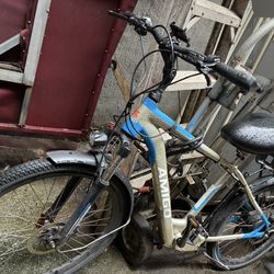 e bike