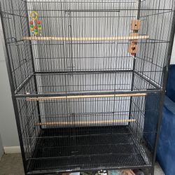 Bird Cage