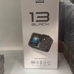 GoPro 13 