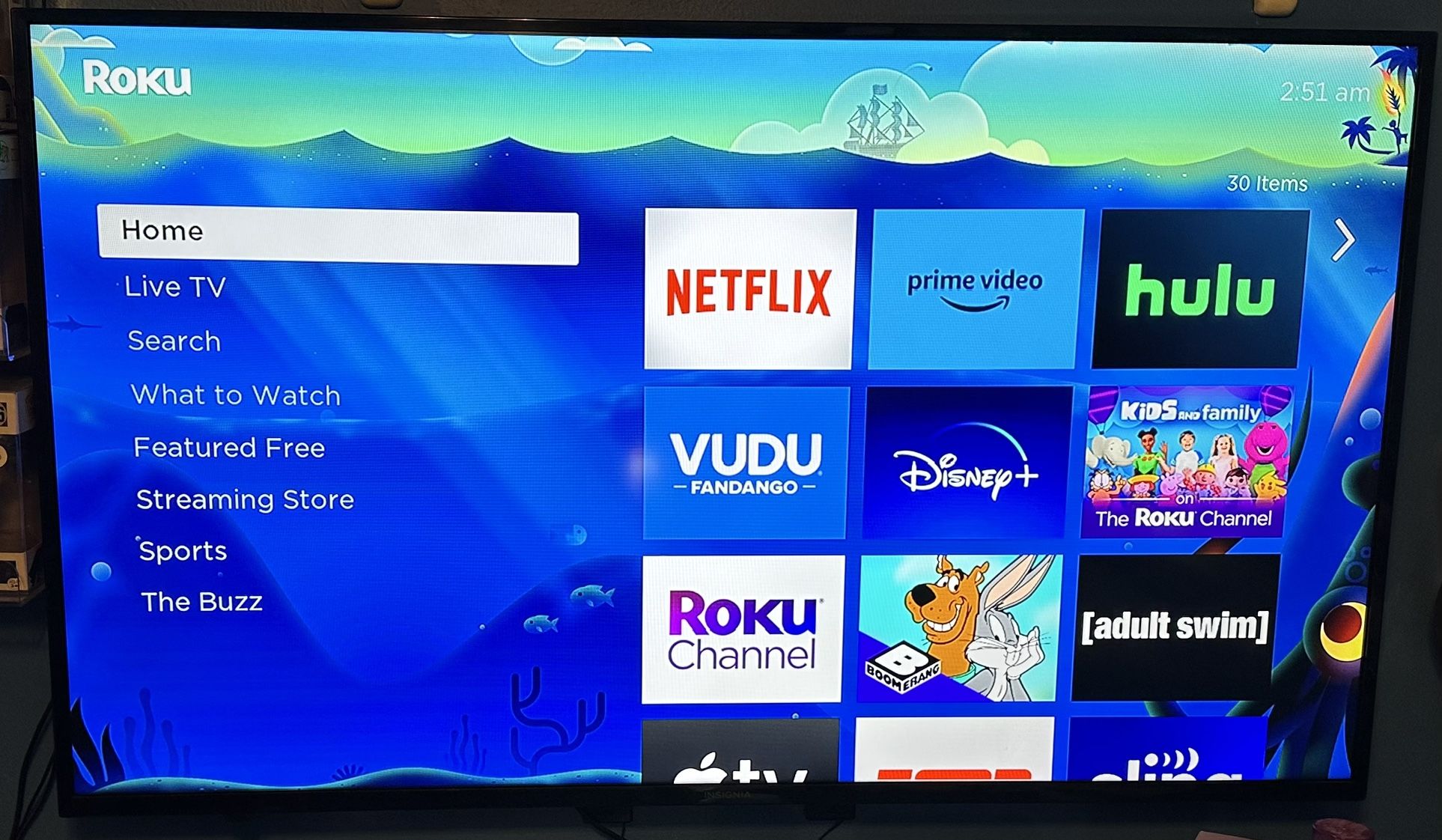 INSIGNIA 50” TV, ROKU EXPRESS & TV MOUNT
